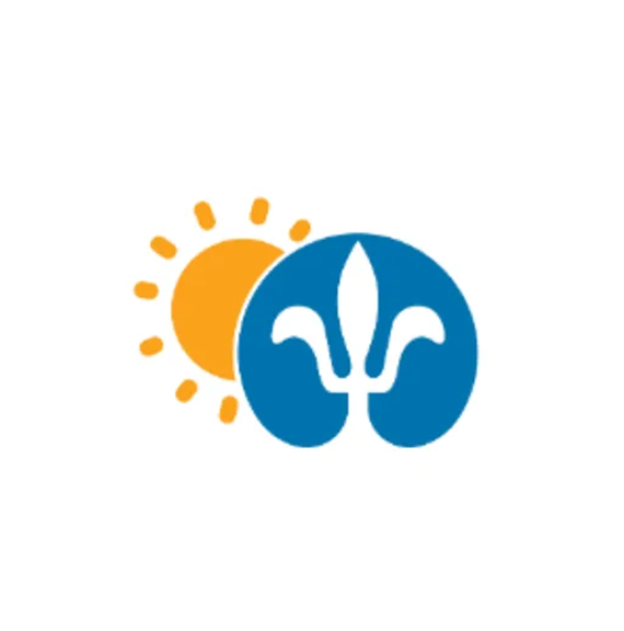 Logo IEEE